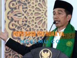 Jokowi Jelaskan soal Hoax Fotonya dengan DN Aidit