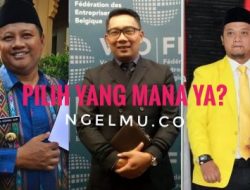 Ahay, Golkar dan PPP Berebut Posisi Cawagub Ridwan Kamil