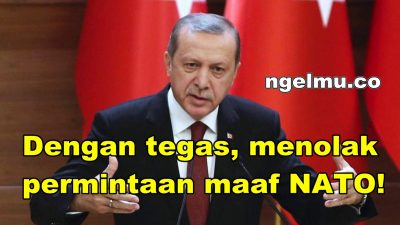 Tegas! Erdogan Tolak Permintaan Maaf NATO