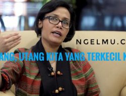 Sri Mulyani Klaim Utang Indonesia Terkecil di Dunia