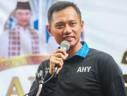 Demokrat: AHY Layaknya Gadis Cantik yang Disodorkan ke Jokowi sebagai Pangeran