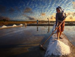 Carut Marut Kebijakan Jokowi 2018, Benang Kusut Persoalan Garam Nasional