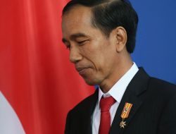 Saat Kecebong Disebut di Hadapan Presiden Jokowi