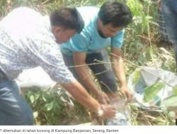 Lagi? Ribuan KTP Ditemukan di Lahan Kosong