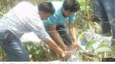 Lagi? Ribuan KTP Ditemukan di Lahan Kosong