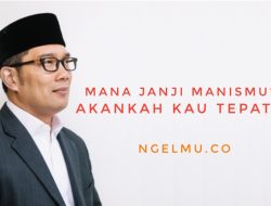 Ridwan Kamil: Perizinan Proyek Meikarta Wewenang Pemkab Bekasi