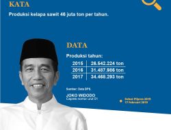 Perbedaan Data Jokowi dengan Litbang Kompas soal Produksi Kelapa Sawit