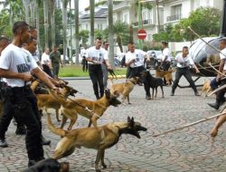 Hendropriyono Siap Pinjamkan Anjing untuk 22 Mei, Begini Tanggapan Polisi