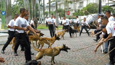 Hendropriyono Siap Pinjamkan Anjing untuk 22 Mei, Begini Tanggapan Polisi