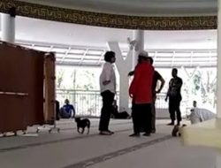 Saat Anjing Masuk ke Masjid