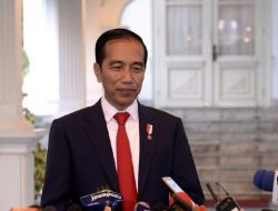 MUI Minta Jokowi Berkantor di Papua