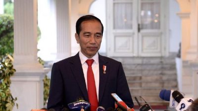 MUI Minta Jokowi Berkantor di Papua