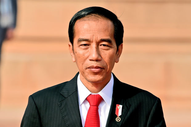 MUI Minta Jokowi Berkantor di Papua