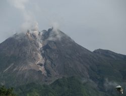 Geliat Merapi Muntahkan Awan Panas, Letusannya Setinggi 800 Meter