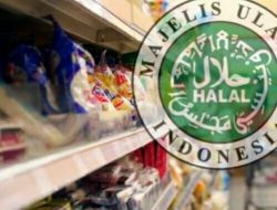 Wewenang MUI Dicabut: Hari ini Semua Produk Wajib Bersertifikat Halal