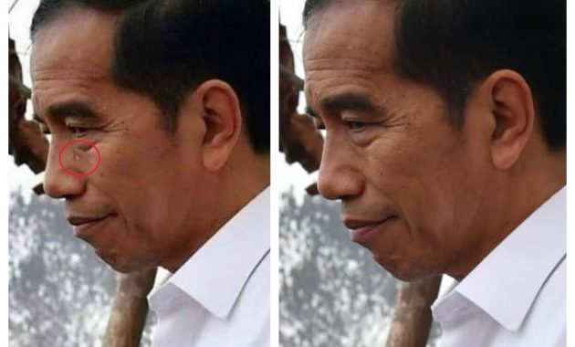 Beredar Luas Foto Jokowi Menangis di Lokasi Karhutla, Ternyata Begini Faktanya!