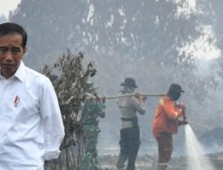 Beredar Luas Foto Jokowi Menangis di Lokasi Karhutla, Ternyata Begini Faktanya!