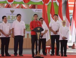 Masyarakat Menjawab Pertanyaan Jokowi soal Keluar dari Rezim Impor