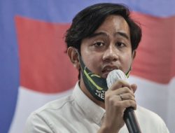 Tegaskan Tak Dukung Gibran, PKS: Itu Hak Politik Kami