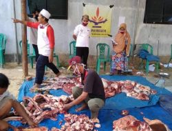 Ingin Berkurban, 6 Anak Yatim Patungan Menabung Rp1.000 per Hari