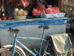 8 Tahun Dagang Kelapa: Tak Masalah Jadi Pupuk, Asal Adik-Adik Tumbuh Subur