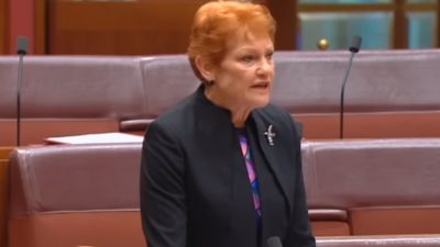 Pauline Hanson, Senator Australia yang Layangkan Hinaan terhadap Bali