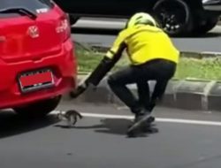 Kejar Mobil, Ternyata Ini yang Dilakukan Driver Ojol