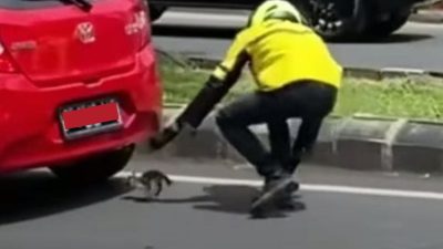 Kejar Mobil, Ternyata Ini yang Dilakukan Driver Ojol