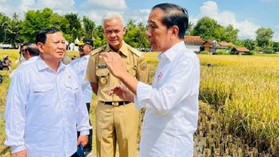 Jokowi Impor Beras