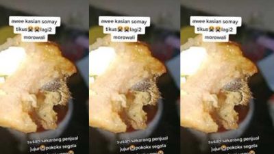 Siomai di Morowali Sulawesi Tengah, Viral Gegara Isinya Kulit Tikus?