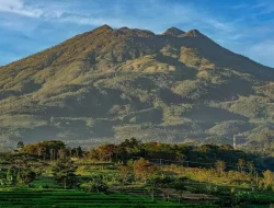 Mahasiswi Undip, Anindita Syafa, Meninggal saat Mendaki Gunung Lawu