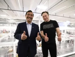 Menko Luhut, Tesla Lebih Pilih India nih daripada Indonesia?