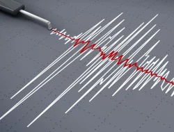 Usai Gempa M 5,8, BMKG Catat 29 Guncangan Susulan di Pacitan