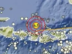 Gempa M 6,5 di Lombok Utara