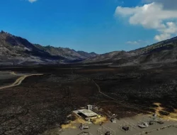 Kelanjutan Kasus Prewedding yang Sebabkan Kebakaran di Bromo