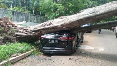 Pohon Besar Rumah Prabowo