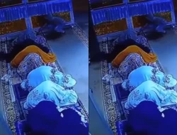 Terekam CCTV, Maling Beraksi di Masjid At-Taubah saat Jemaah Sujud