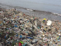 Pantai Teluk Penuh Sampah Lagi!