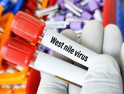 Mematikan, Virus West Nile Merebak di Israel!