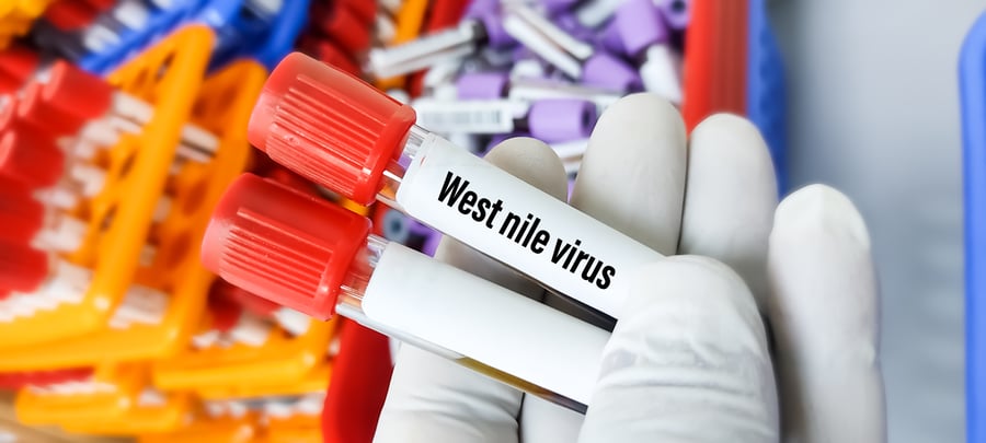 West Nile Virus Israel